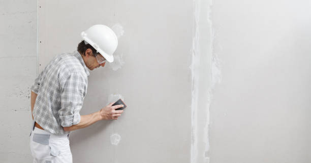 Best Drywall Removal and Disposal  in St Francis, WI